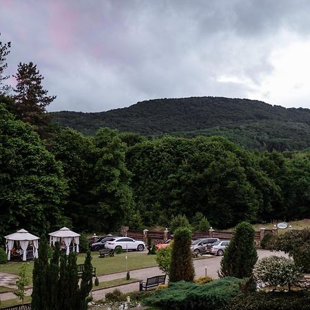 Villa Kvitka Svaljava Exteriör bild