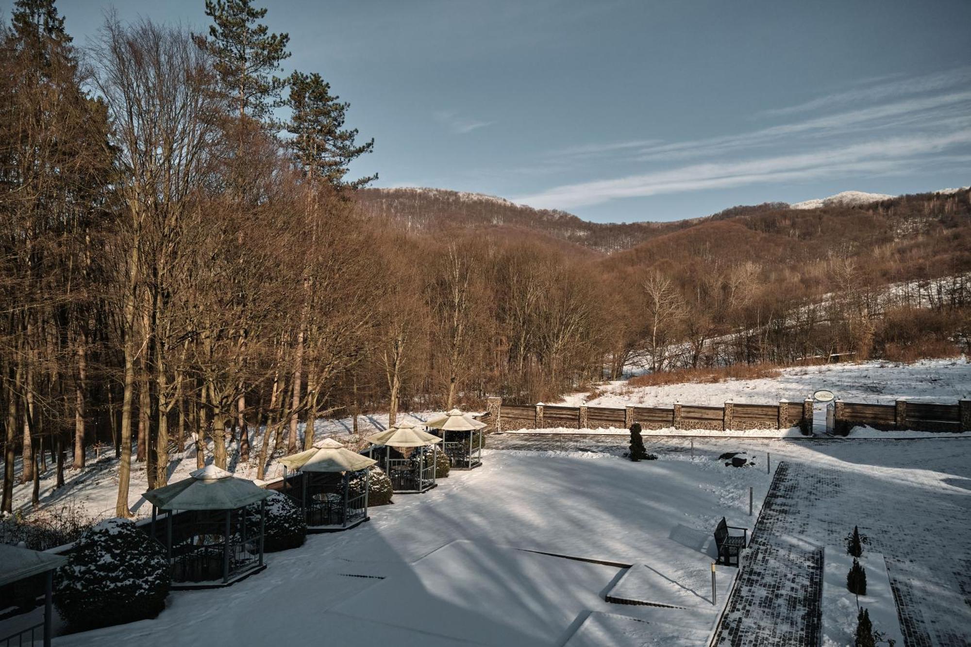 Villa Kvitka Svaljava Exteriör bild
