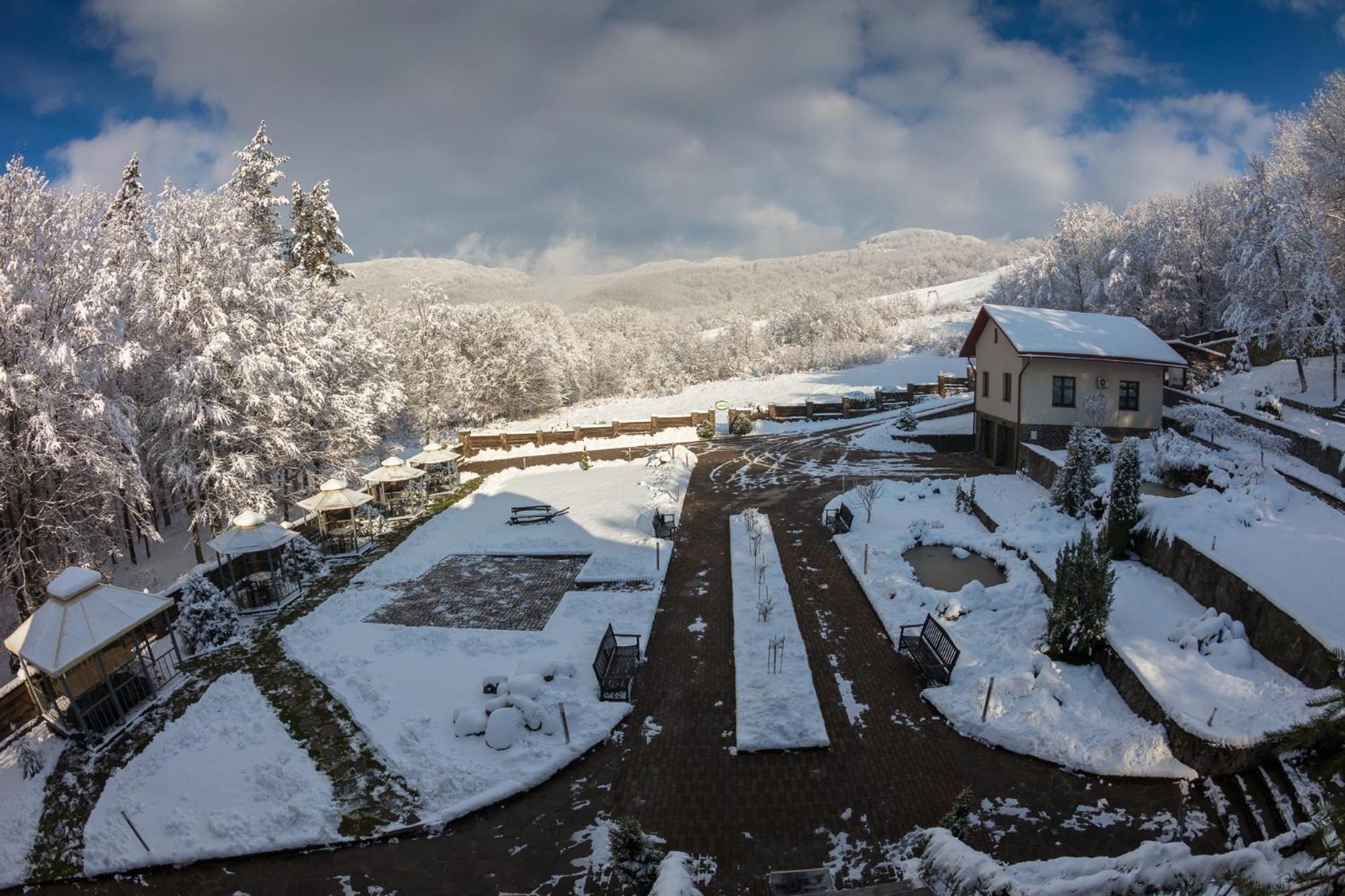Villa Kvitka Svaljava Exteriör bild