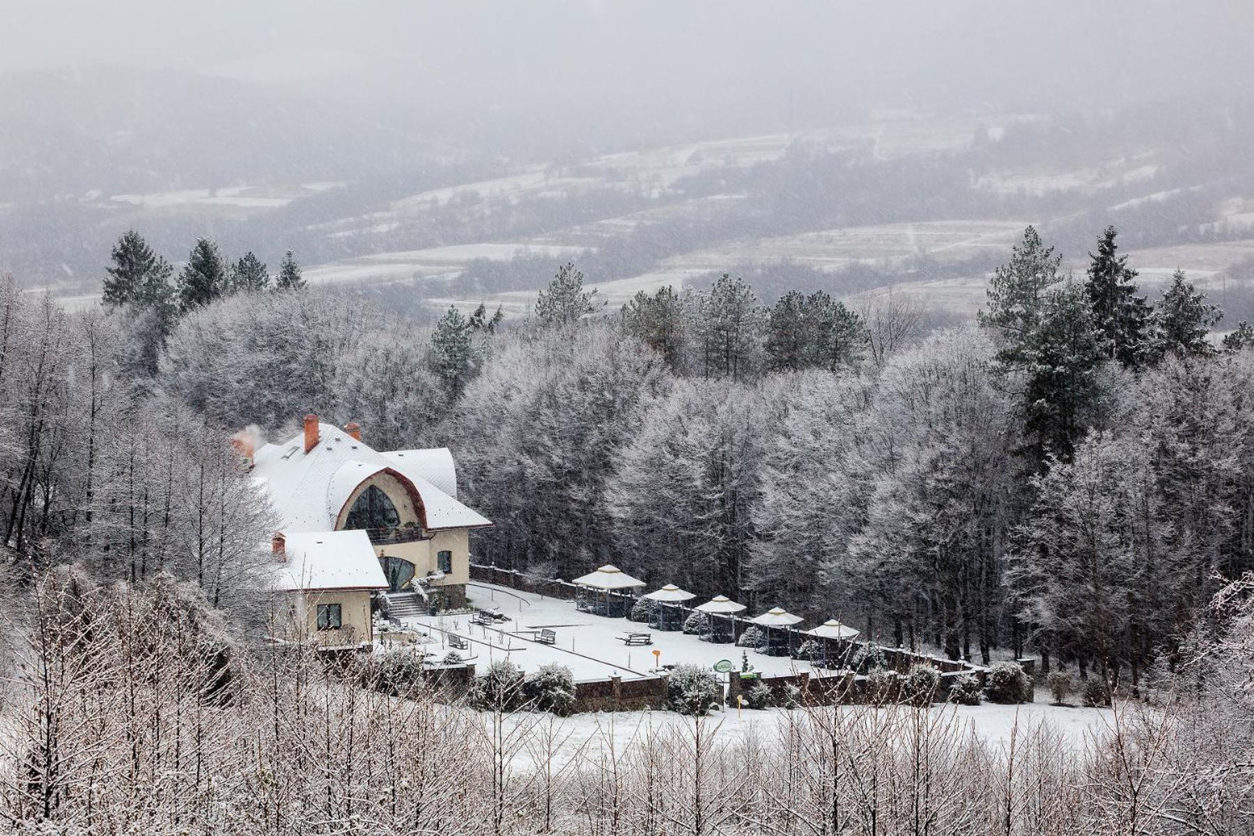 Villa Kvitka Svaljava Exteriör bild
