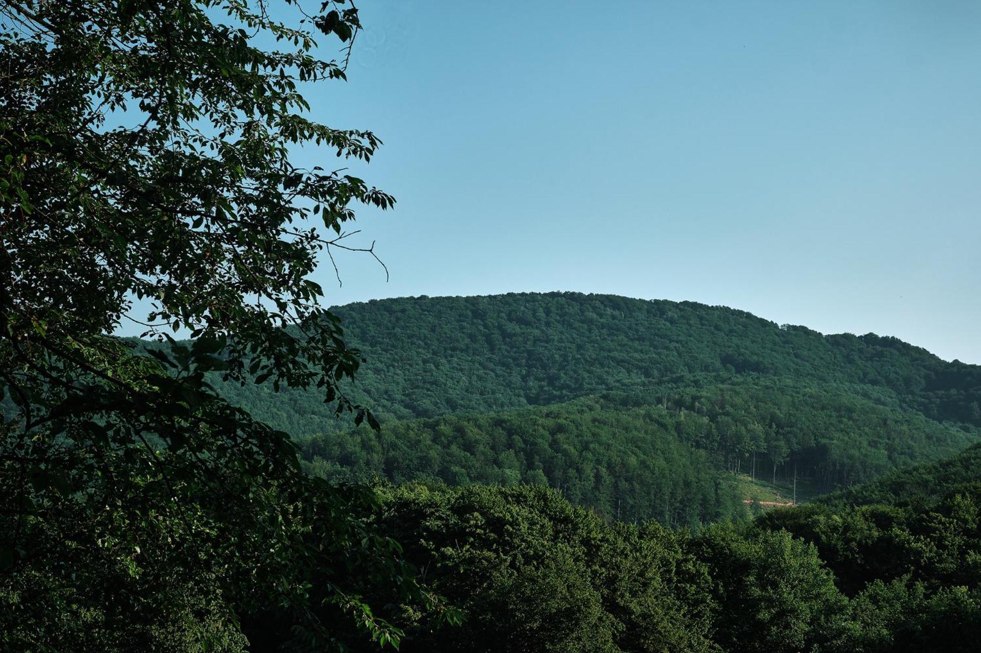 Villa Kvitka Svaljava Exteriör bild